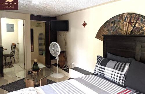 Mandeville Apartment | Oasis Living Getaway in Mandeville, Manchester