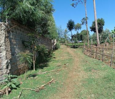 Kenya House | Oburu Ogechi Babu Residence