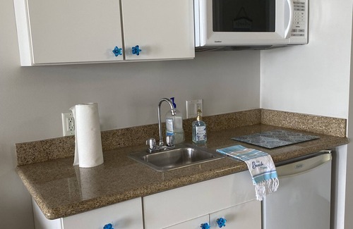 Hampton Apartment | OC North Beach, Ocean front unit, stunning views