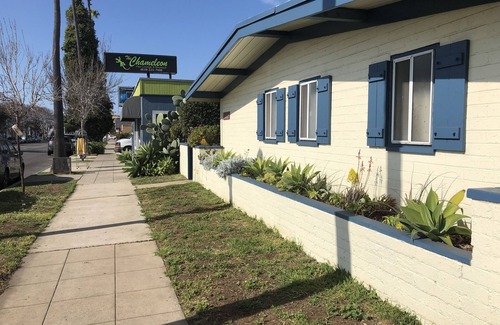 Ocean Beach Apartment | Ocean Beach #2 ‘Garden’ Cozy Cottage - Walk to the beach!