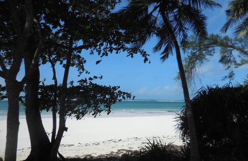 Diani Beach House | Ocean Front Beach Chalet with sandy beach, Room with seaview