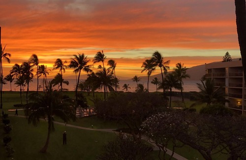 Kihei Condo | Ocean Front Beautiful Bottom Floor Condo B117, 1 minute walk to beach