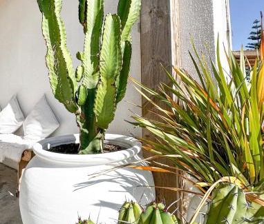 Ericeira Hostel | Ocean House - Ribeira d'ilhas Ericeira