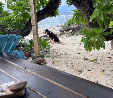 Temae Ski Chalet | Ocean Side Bungalow