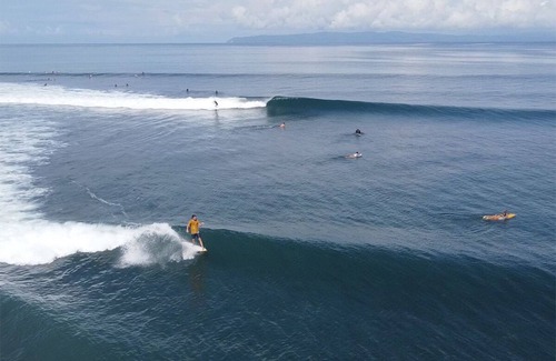Pavones House | Ocean View & Great Waves - Infinity Jungle Lounge
