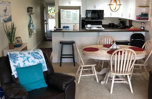 New Smyrna Beach House | Ocean View, 2BR-2BA August Special NOW! 180 + Usual Fees, Beach Chairs, Families