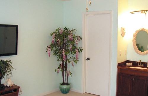 St. Augustine Beach Condo | OCEAN VIEW Serenity 2 Br 2 Bath WiFi Private Beach Access Gorgeous Landscaping