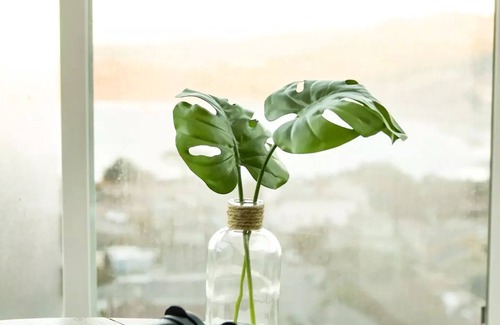 Pedro Point House | Ocean View Stunner