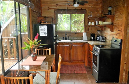 Uvita Cabin | Ocean Views,Jungle Views, Wildlife, Swim in our Private Pool, Wi-Fi, Beach Club