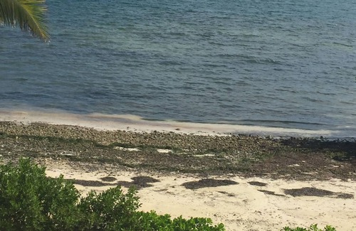 Crystal Harbour Resort | OCEANFRONT 2 bd 2 bth in resort with AC, WiFi in Phenomenal Grand Cayman