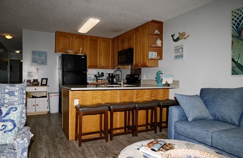 North Carolina Coast Condo | Oceanfront 2 bedroom condo- Pet Friendly- Mermaids Retreat