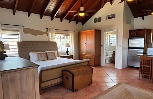 Nazareth House | Oceanfront Cottage with Pool