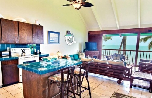 Honaunau-Napoopoo House | Oceanfront Hot Tub Kayaks Snorkeling Dolphins Gorgeous Location