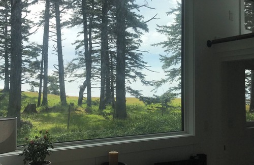 Tlell House | Oceanfront, newly built, modern tiny home with beach access!