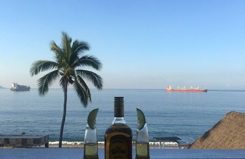Manzanillo Condo | OCEANFRONT! π PENTHOUSE WITH A VIEW π³ π’
