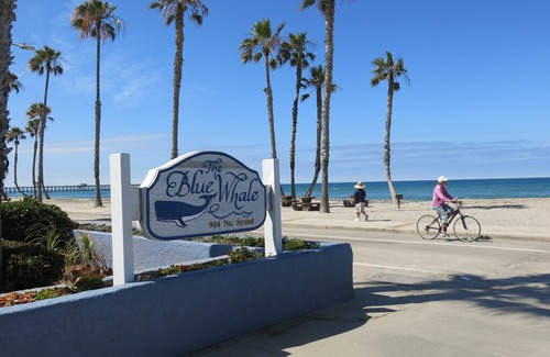 Townsite Resort | OCEANFRONT RESO1-bedroom at the Blue Whale, Family-friendly & Right on the Beach