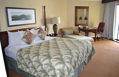 Hanamaulu Hotel | Oceanfront Resort, Lagoon View Hotel Studio unit