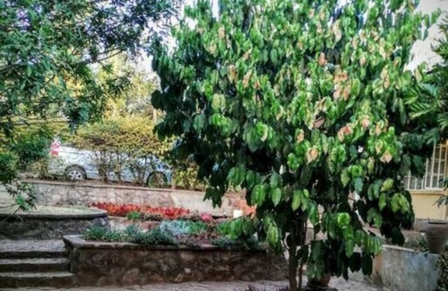 Ongata Rongai House | Od Marro Nature Lover's Paradise