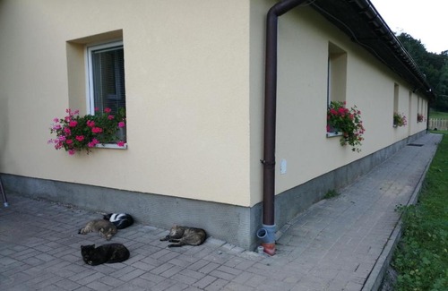 Matiaska Apartment | Oddychový pobyt na rodinnej farme