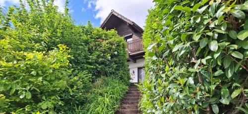 Reichelsheim House | Odenwald Lounge im Naturpark Bergstraße-Odenwald