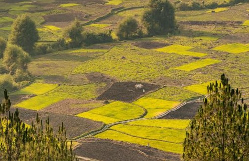 Majkhali House | Odyssey Stays Kausani
