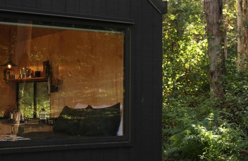 Main Creek House | Off-Grid Cabin Tucked into Nature - Pet Friendly - Mahli