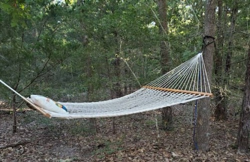 Fayette County RV Rental | Off grid glamping
