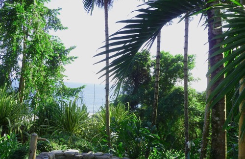 Carate House | Off the Grid Bungalow surrounded by Tropical forest and
