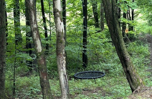 Morton Cabin | Off the grid private cabin on 40 acres! Peace and tranquility at its finest.