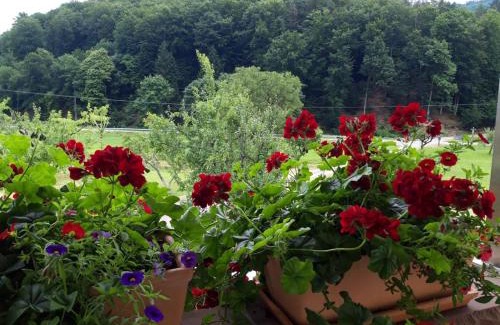 Schuttertal Apartment | Offenburger Hof