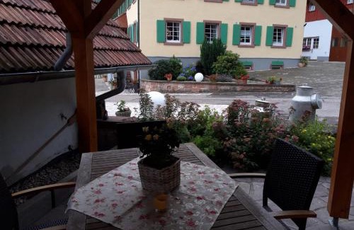 Schuttertal Apartment | Offenburger Hof
