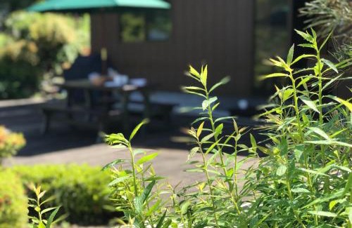 Ohara House | Ohara Sensui Surrounded by Beautiful Nature