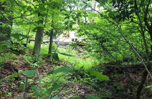 Ferndale RV Rental | Okama Abon Bell Tent, River View Taino Woods 15 minutes to Bethel Woods Concerts