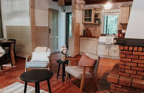 gmina Jakubow Ski Chalet | Okno na las