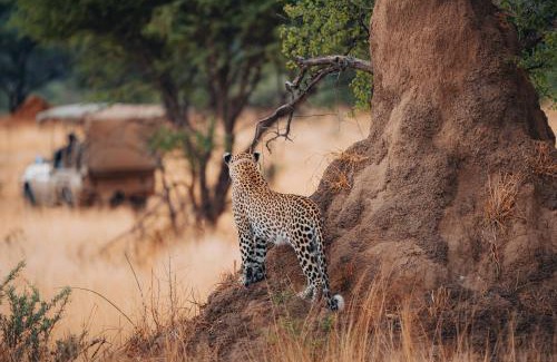 Otjozondjupa Region Ski Chalet | Okonjima Luxury Bush Camp