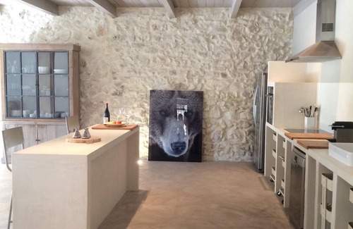 Maussane-les-Alpilles Villa | Old barn renovated. Pool without chlorine