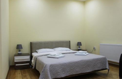 Mtskheta Apartment | Old house apartment with Garden area