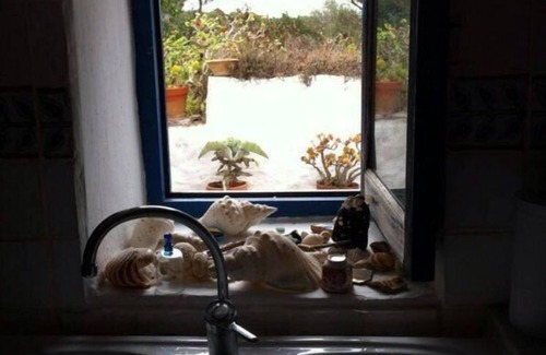 Es Cap de Barbaria House | OLD HOUSE OF PAYES, CAP DE BARBERIA GARDEN AREA AND PRIVATE PARKING