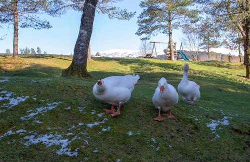 Spean Bridge Hotel | Old Pines Hotel And Restaurant