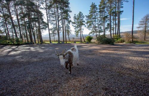 Spean Bridge Hotel | Old Pines Hotel And Restaurant