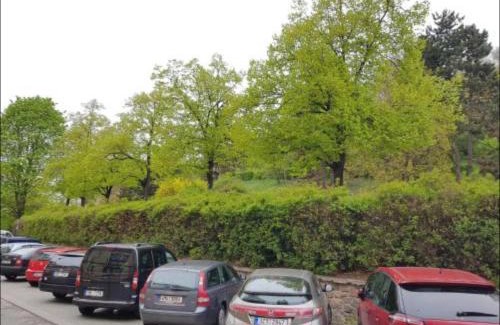 Brno-stred Apartment | Old Town Apartment Pellicova