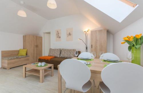 Ljubljana City Centre Apartment | Old Town first floor