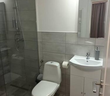 Baia Mare Apartment | Old Town Studio 1 Apartment nr 2