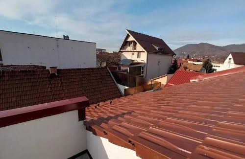 Baia Mare Apartment | Old Town Studio 1 Apartment nr 2