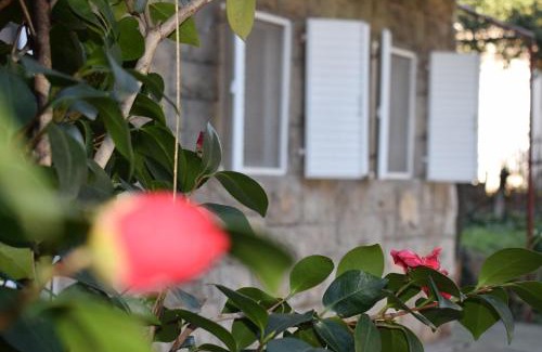 Gospostina Apartment | OLD TOWN STUDIOS