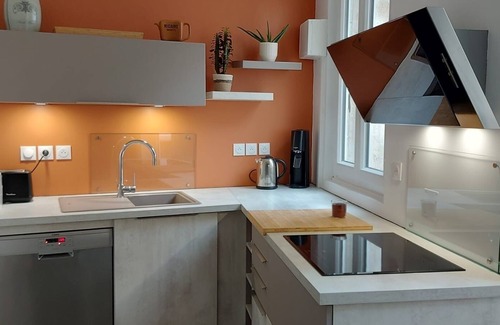 Dijon Centre Ville Apartment | Old triplex - Downtown