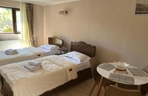 Mtskheta Apartment | Oldtown Apartments