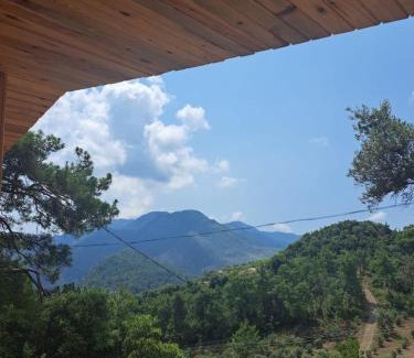 Olympos Bed & Breakfast | Olimpos Altun Pansiyon