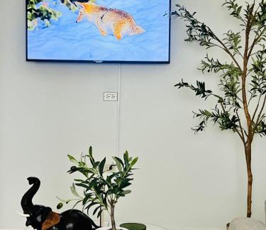 Runaway Bay Apartment | Olive Breeze