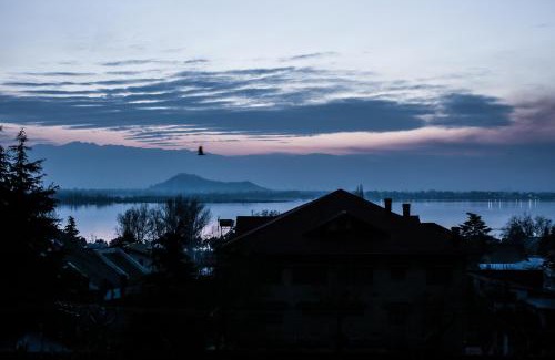 Nishat-Shalimar Hotel | Olive County, Srinagar